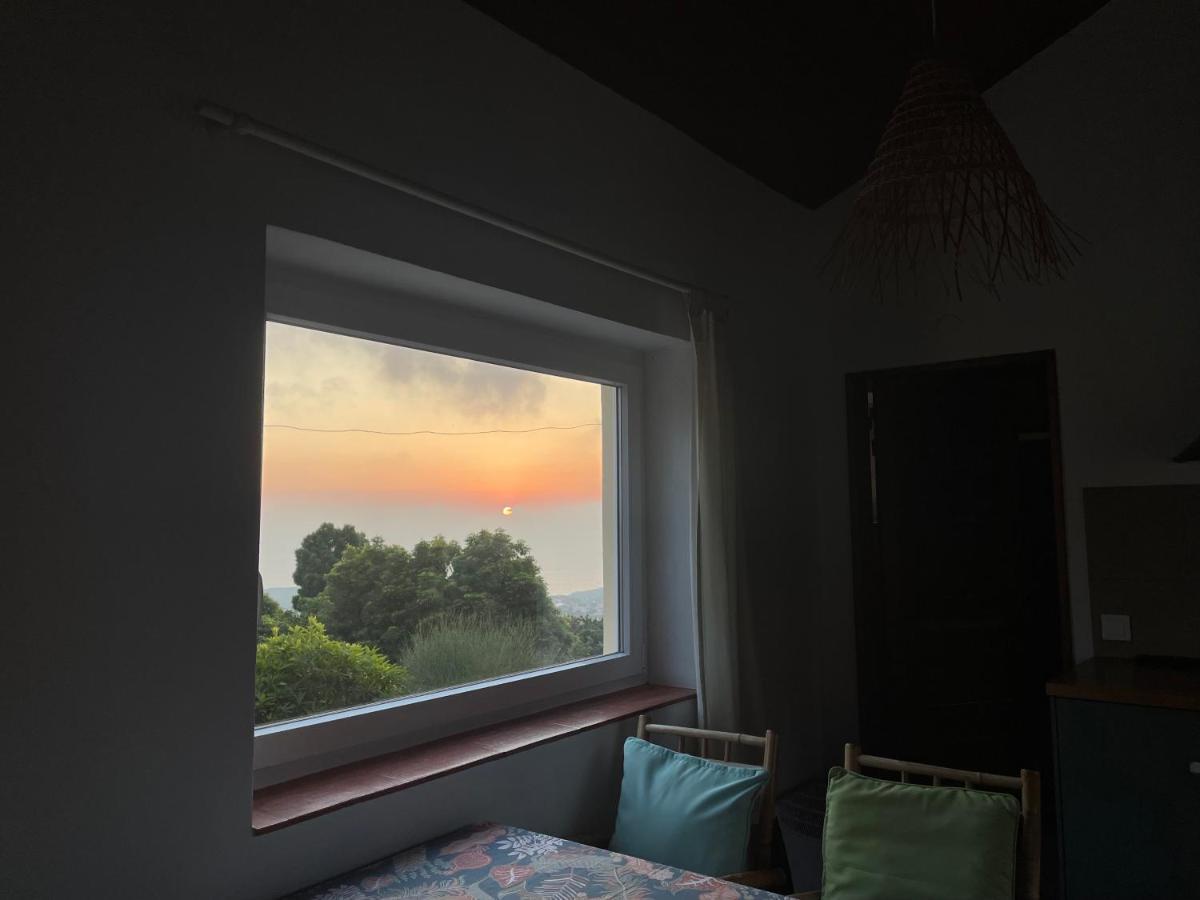 A House In The Woods Villa ซินตรา ภายนอก รูปภาพ