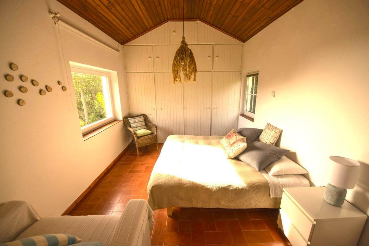 A House In The Woods Villa ซินตรา ภายนอก รูปภาพ