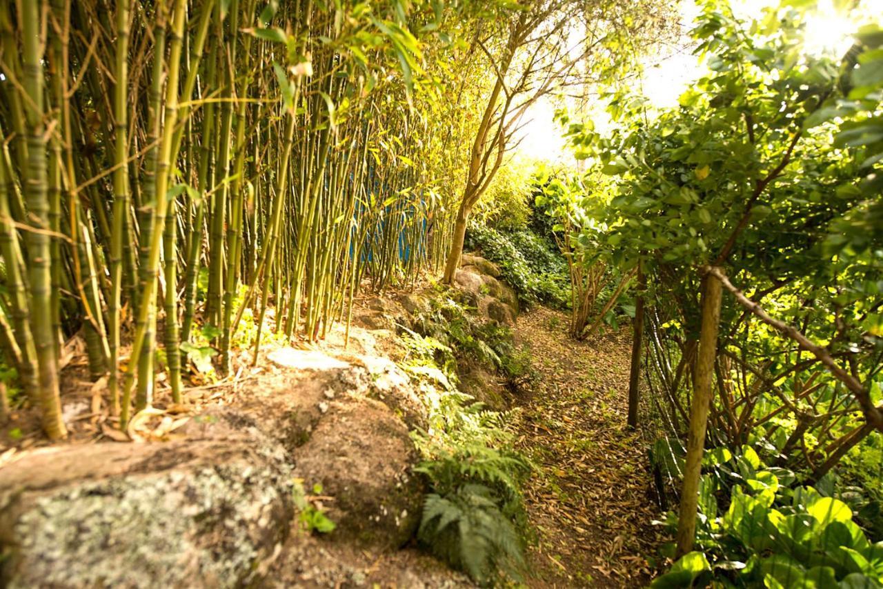 A House In The Woods Villa ซินตรา ภายนอก รูปภาพ
